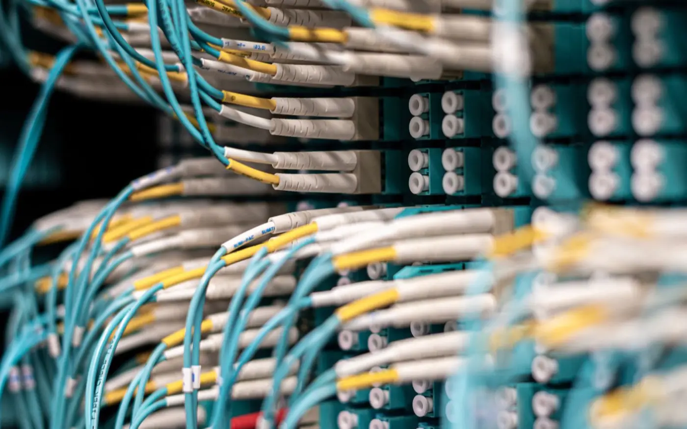 A patch panel with terminated network cables
